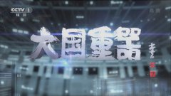 cdma2000g从蛮荒时代的生存需求