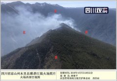 穿越倚天之宋青书专家解读木里火场复燃：原始丛林复燃较常见