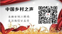 胡椒与盐 郑风田：2019年“三农”工作的基调包含两大块