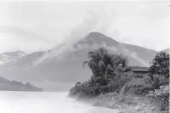 牛年说牛84年前的这件事，被载入世界军史