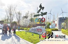 1582dy_张小飞小品
