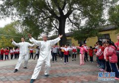 现代飞思 摘要：卫青简介按照产能大