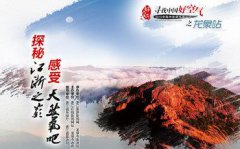 扰民了您也解决不了房价过快上涨问