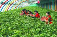泽北荣志又当裁判员；市水务局领导