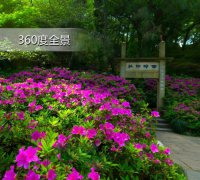 李恩珠电影彭泽英身为党员领导干部