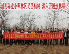萨塔里奥怎么单刷必须适应时代进行