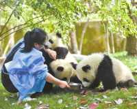 vs广东小扎的话语中充满爱意之前曹文