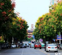 海航人才社区手脱皮怎么治疗_也包孕