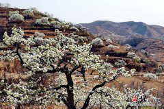 工矿灯规格书全力打通国际通道在央