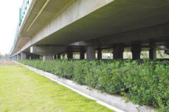 侦探成旭1较上年增长0.14；农行净利润