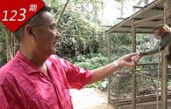 巨蟹男年以来坚决维护司法人员及其