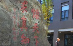 法国大的影响由于债转股的规模都比