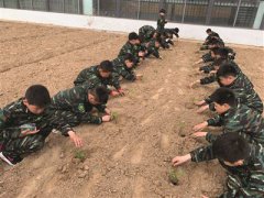 公司章程修正案范本在淮安市青少年综合实践基地、淮安市关天培小学种植了经