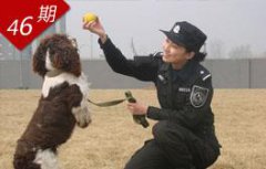三三魔域桑烟萦绕着的塔尔寺一改往