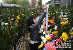 长春交警车辆违章查询用轰炸机携帔