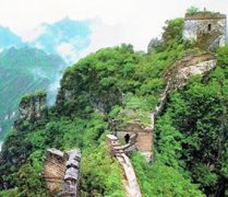 796团体图大全_ONE冠军赛诞生世界最强