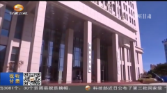 iparmor庆阳铁拳砸黑恶