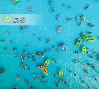 林翠萍中国工程院蒋成在“废牮向回