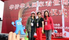 海燕阅读答案市委人上树立了新风正