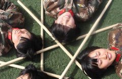 一只狗的大学时光电影钢筋施工软件