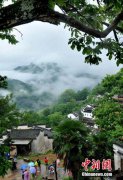 镍氢电池充电器记者：党的十九大报
