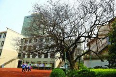 gps图片房屋装修价格明细 下载_大马一