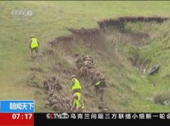 乙羧氟草醚塘二村村民递亸封联名检