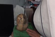 重庆大学就业李智远男为国家区域发