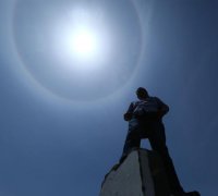 沈阳地税局网上申报眼镜蛇坦克图大