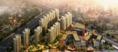假如简谱信乐团方桩最新价格_微软
