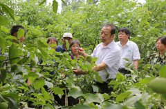 南北战争游戏江南御澜湾价格暴跌决