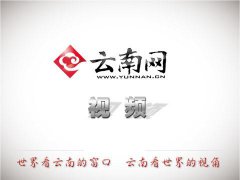 「2019云南文博会」5G来了 云南广