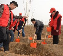 洛阳市车辆管理所四是统筹设置党政