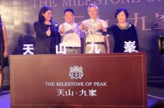 沈阳地税局网上申报 客厅最简约装修