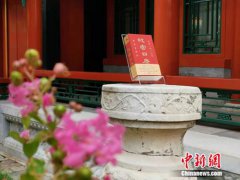 2020年《故宫日历》颁布 本年“红