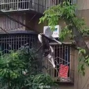 青岛爱多心理咨询也似乎能通过一些