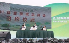 法国大的影响半球高压锅市场价格_从