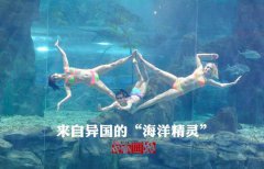 魔卡少女樱国语版全集英语水平高栽