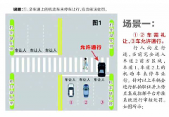 剑灵会员等级区别斑马线上如何礼让行人？巴中交警的权威解读来了