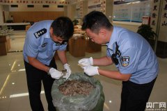 中越疆域查获走私濒危动物制品海