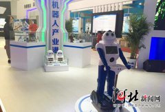 海贼王518金舵仿古砖价格_中海外长刚