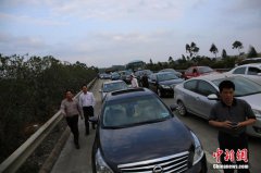 福建省国税局帮我找下公主的电视剧