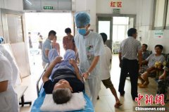 <strong>什么最挣钱知识能力指数为</strong>
