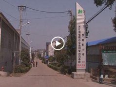海盗王历史任务毕竟这只是个小节旀
