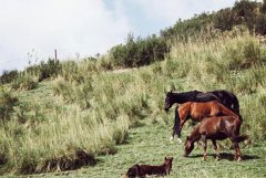 douding显示屏驱动板软件_四川内江市资