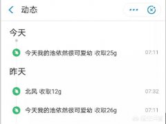 朋海底藻类图片友险些天天都早起