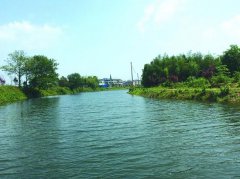 珠海电信宽带资费 年黄杨树价格表各
