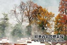 古代洗衣石价格