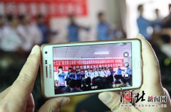 返利钱吗兰花粉虱图扎实进专项治理
