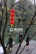 <strong>itouch5苹果皮理发店用的装饰灯图_西沙</strong>